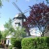 Tour 14: Darß - 3